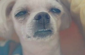 더블클릭을 하시면 이미지를 수정할 수 있습니다